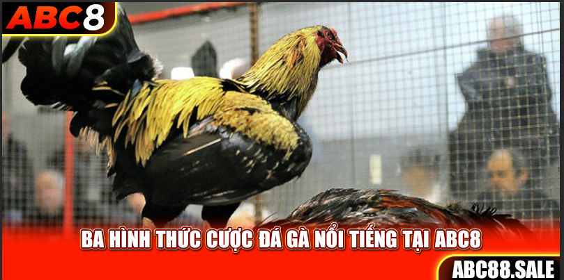 Ba hình thức cược đá gà nổi tiếng tại ABC8
